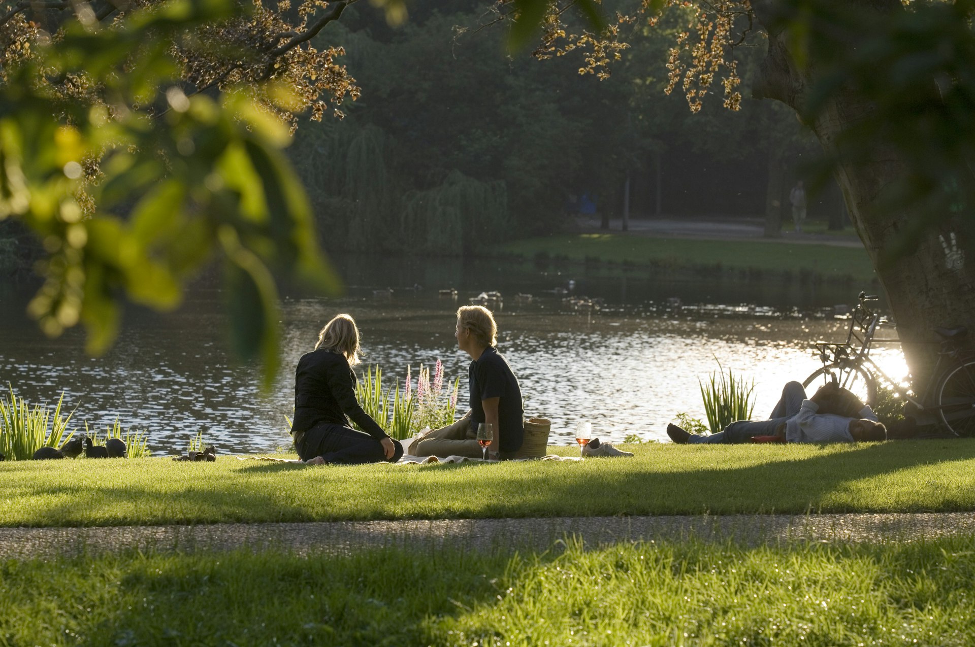 Enjoy a picnic lunch in Belgium 