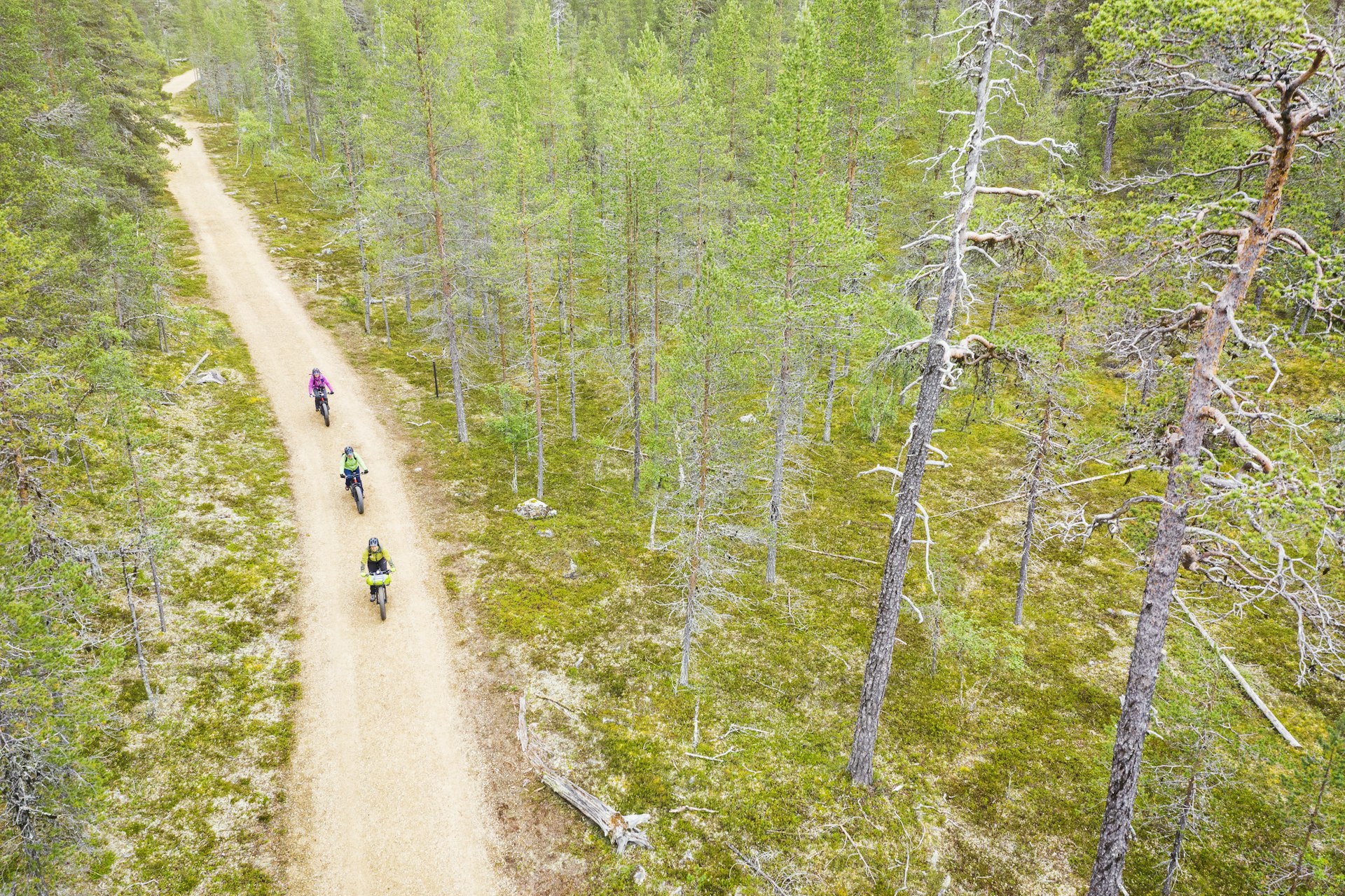 Aerial view of 3 cyclists on a path through the Urho Kekkonen National Park, Finland