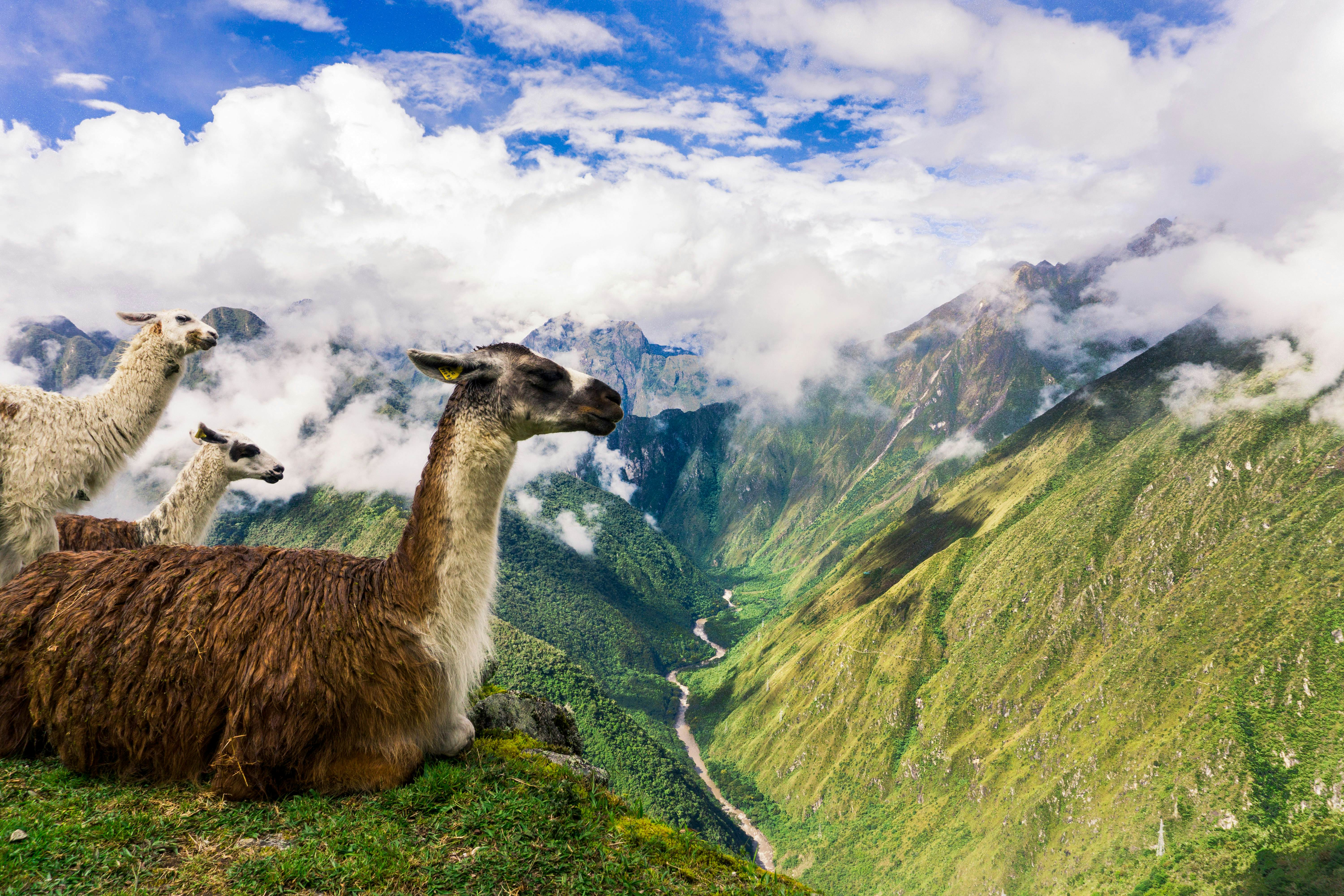 A mother daughter trip on the Inca Trail Lonely Planet