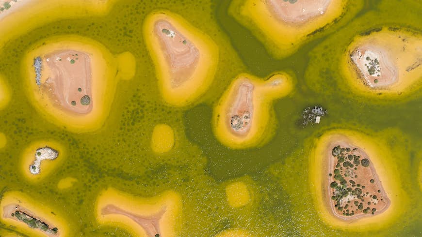 An aerial view of the green-and-yellow wetlands of Għadira Nature Reserve, Malta, Europe