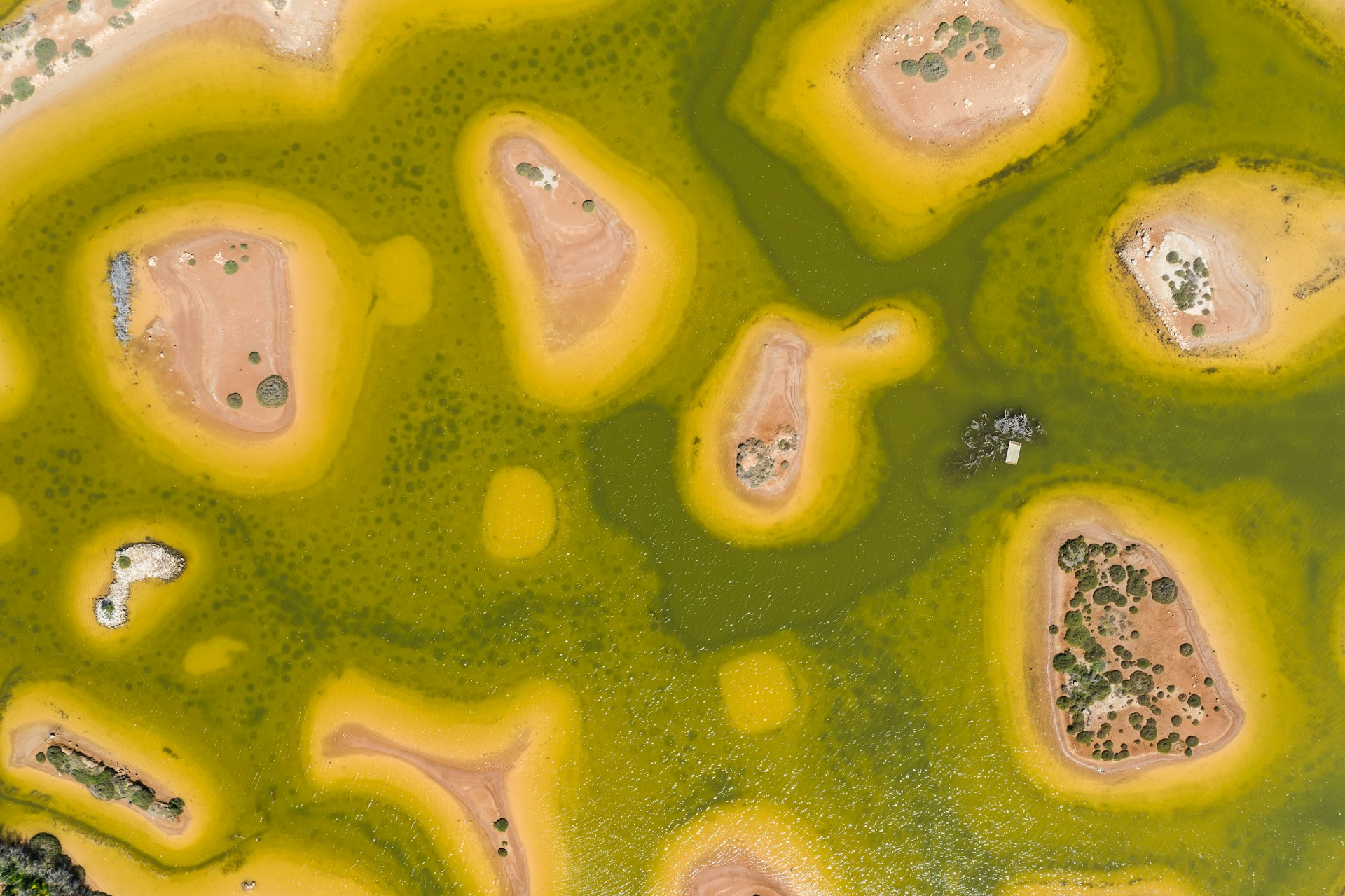 An aerial view of the green-and-yellow wetlands of Għadira Nature Reserve, Malta, Europe