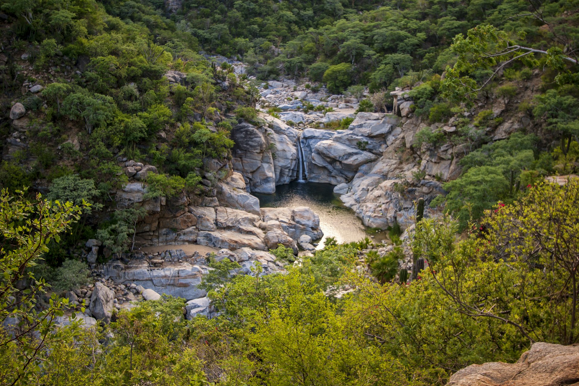 A river flows through rocky terrain in Cañon de la Zorra and empties into a large, tree-ringed pool Getty Images
