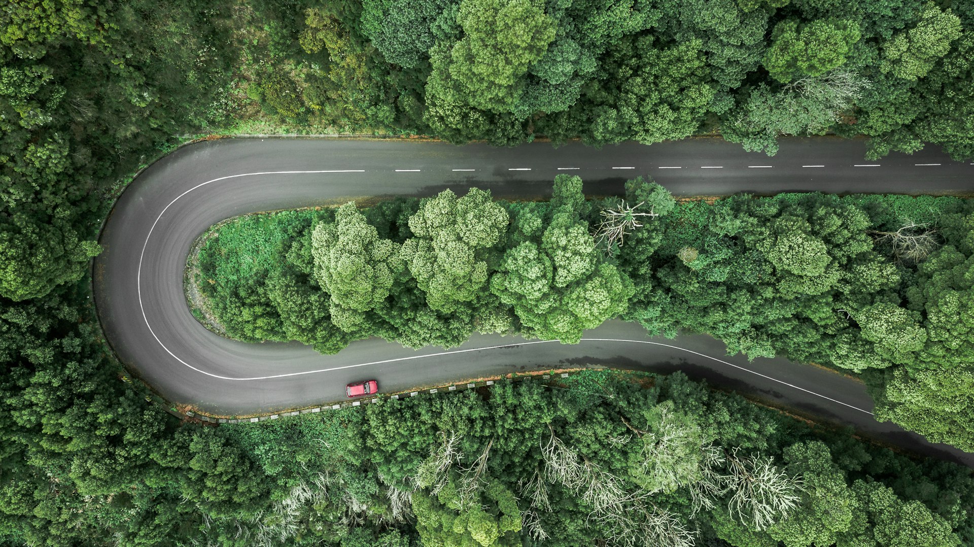 An aerial view of car driving on heavily curved road through a wooded mountain in Encumeada, Ribeira Brava, Madeira, Portugal