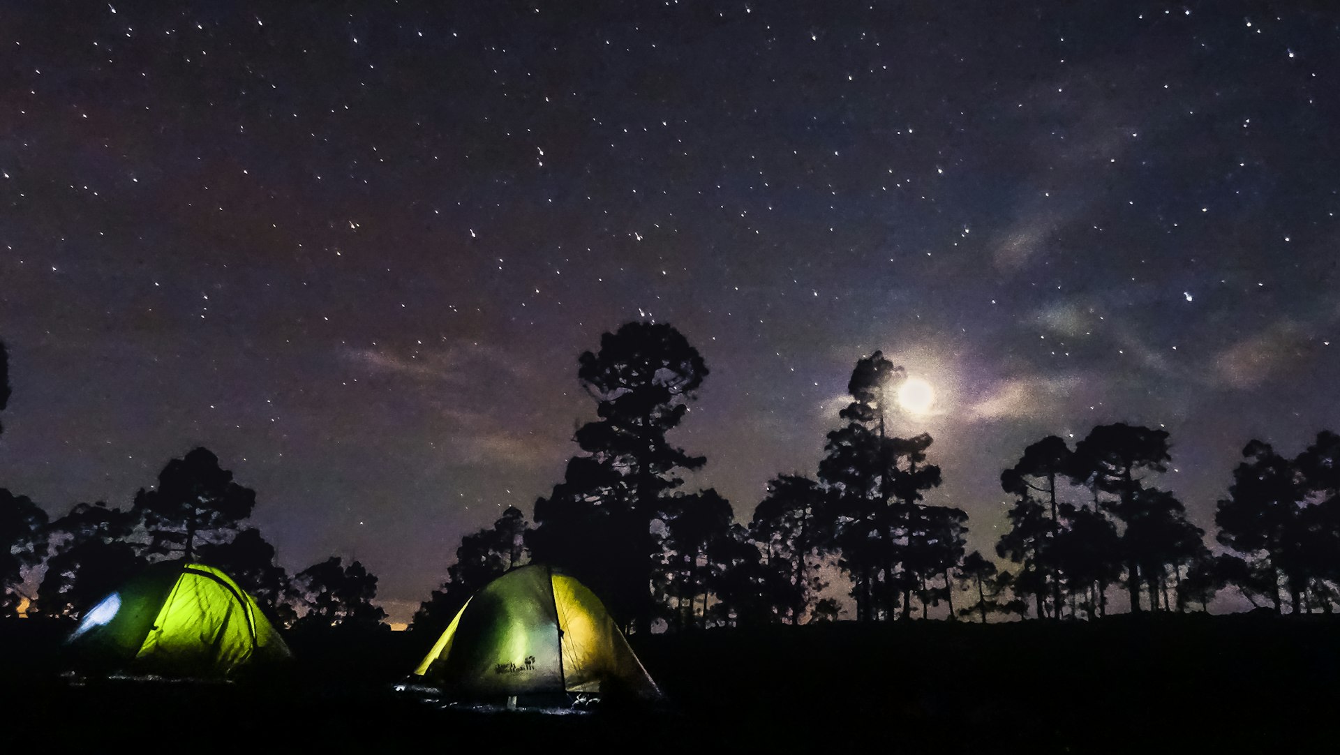 Two tents sit illuminated from the inside at night in moonlight at corona forestal on tenerife 