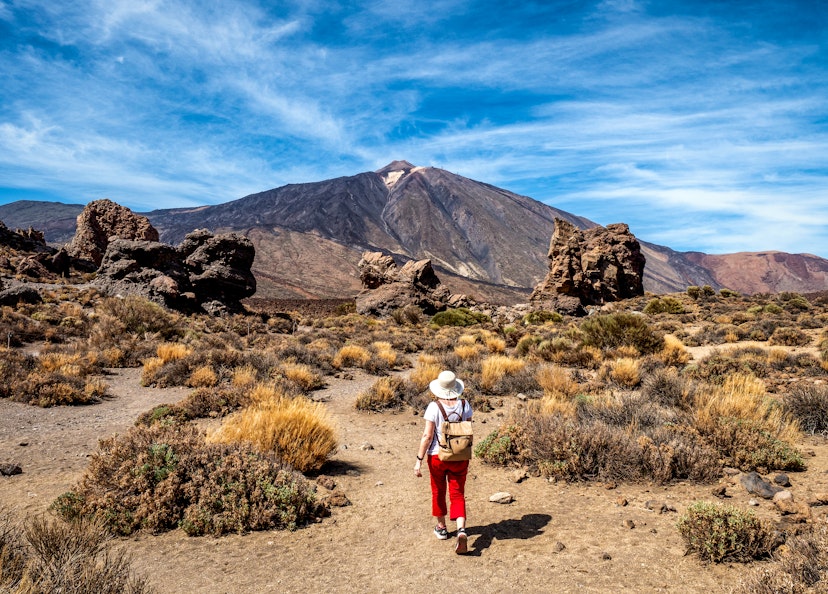A person in a white hat and red plants walks through shrubs along a mountain trail in the Teide National Park in Tenerife, Canary Islands, Spain. Europe.