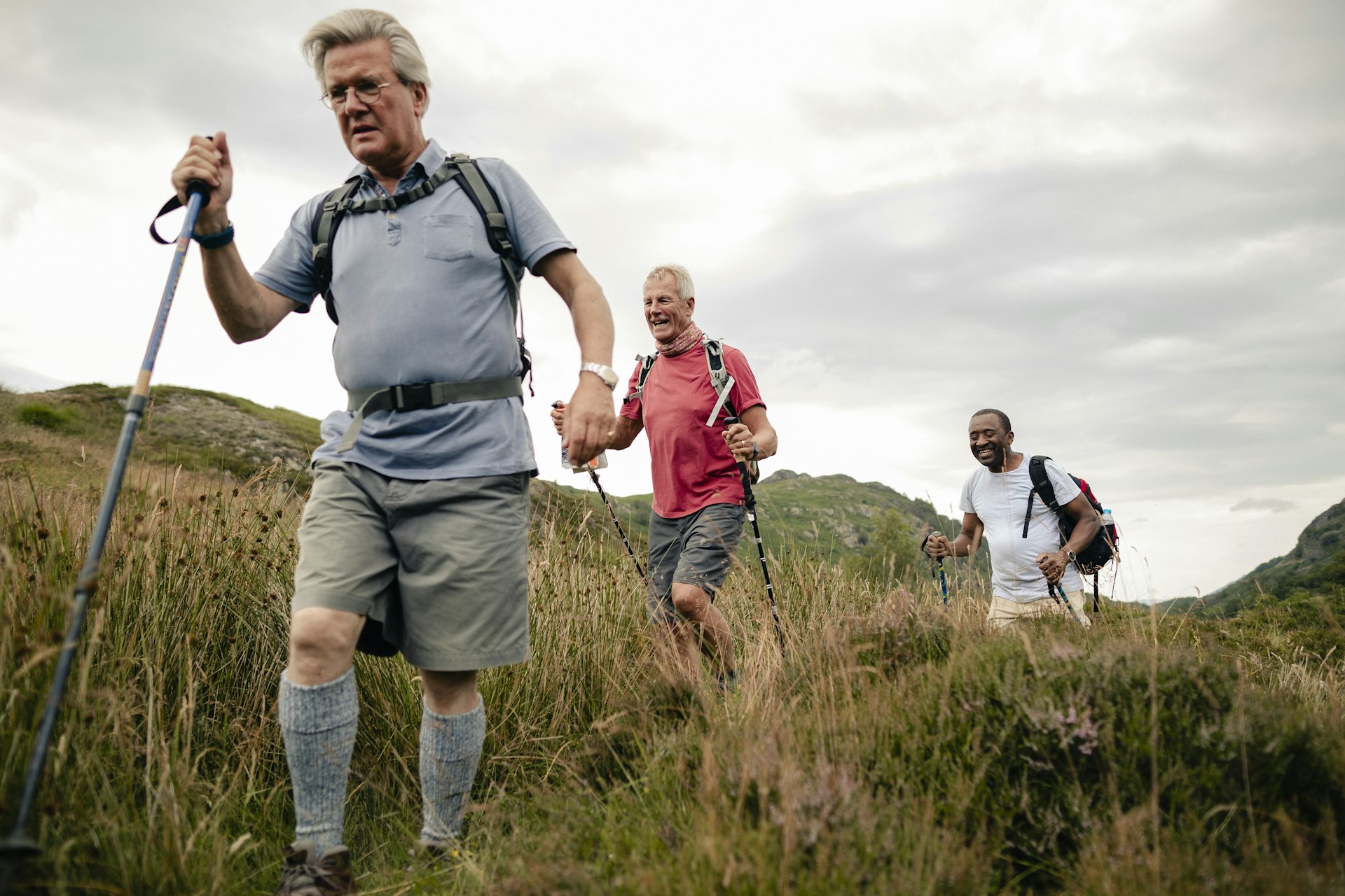 Group of Senior Men Hiking With Sticks Through Grassy Hills in the Lake District