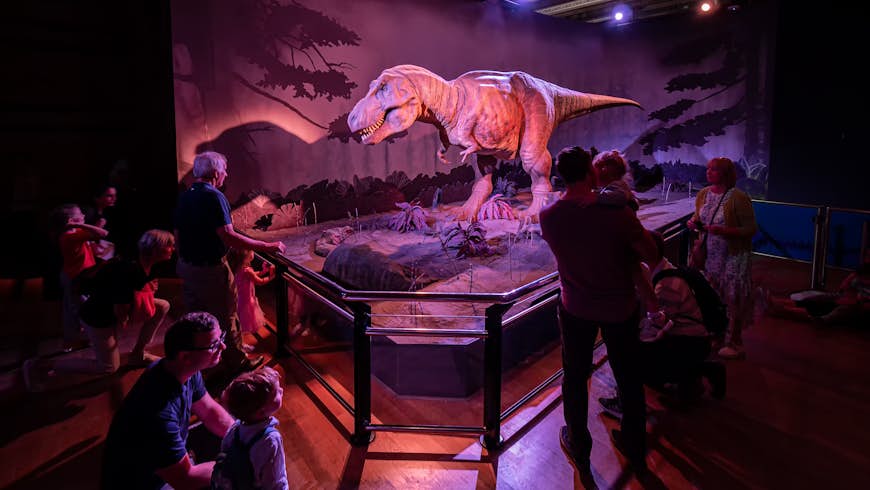 An life-size animatronic T-Rex has everyone's attention in a low-lit room at London's Natural History Museum