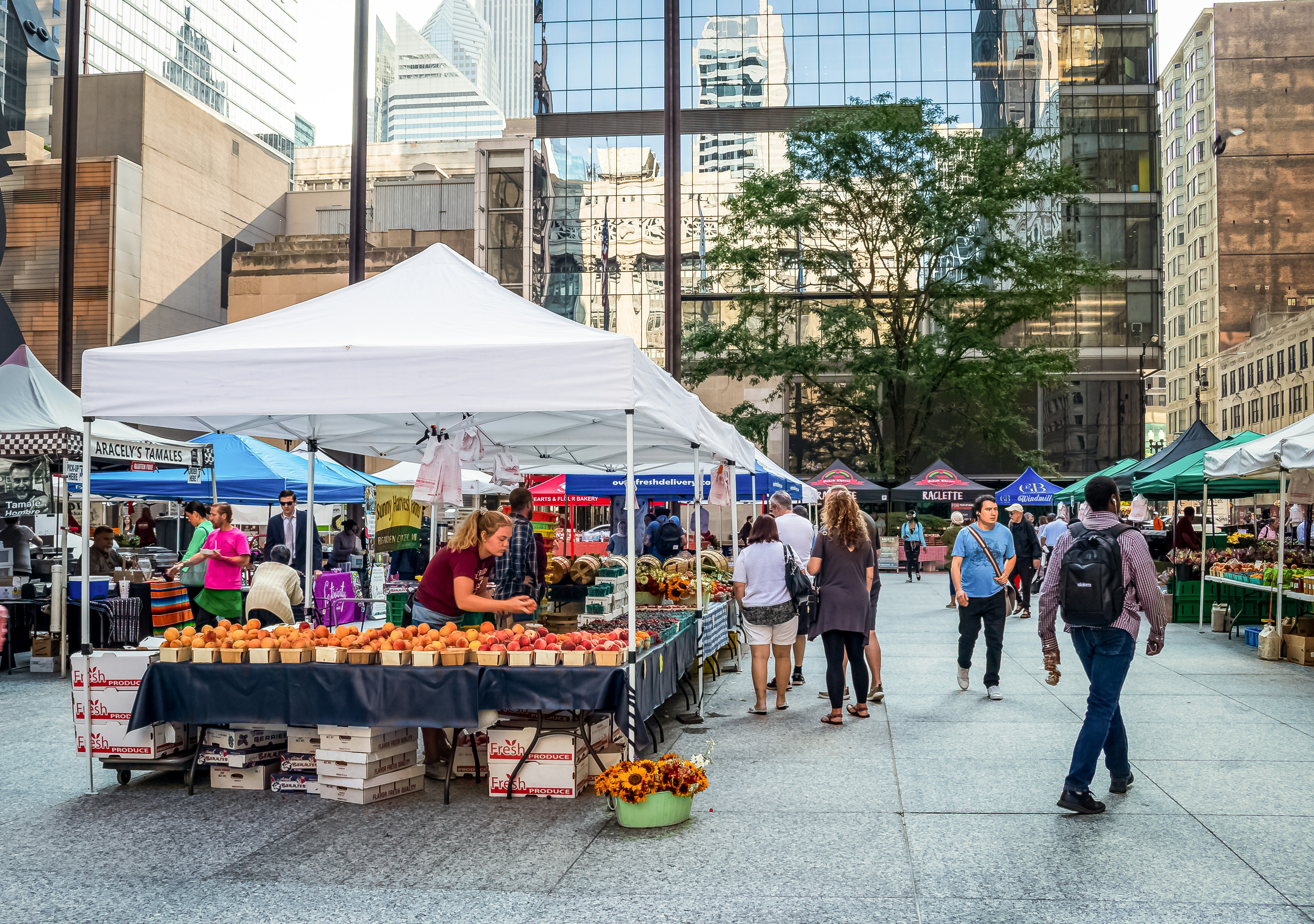 Crowds of people browse the Chicago farmers market located at Daley Plaza during summer morning