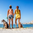 There's no need to leave your dog at home with our guide to pooch-friendly places in Florida