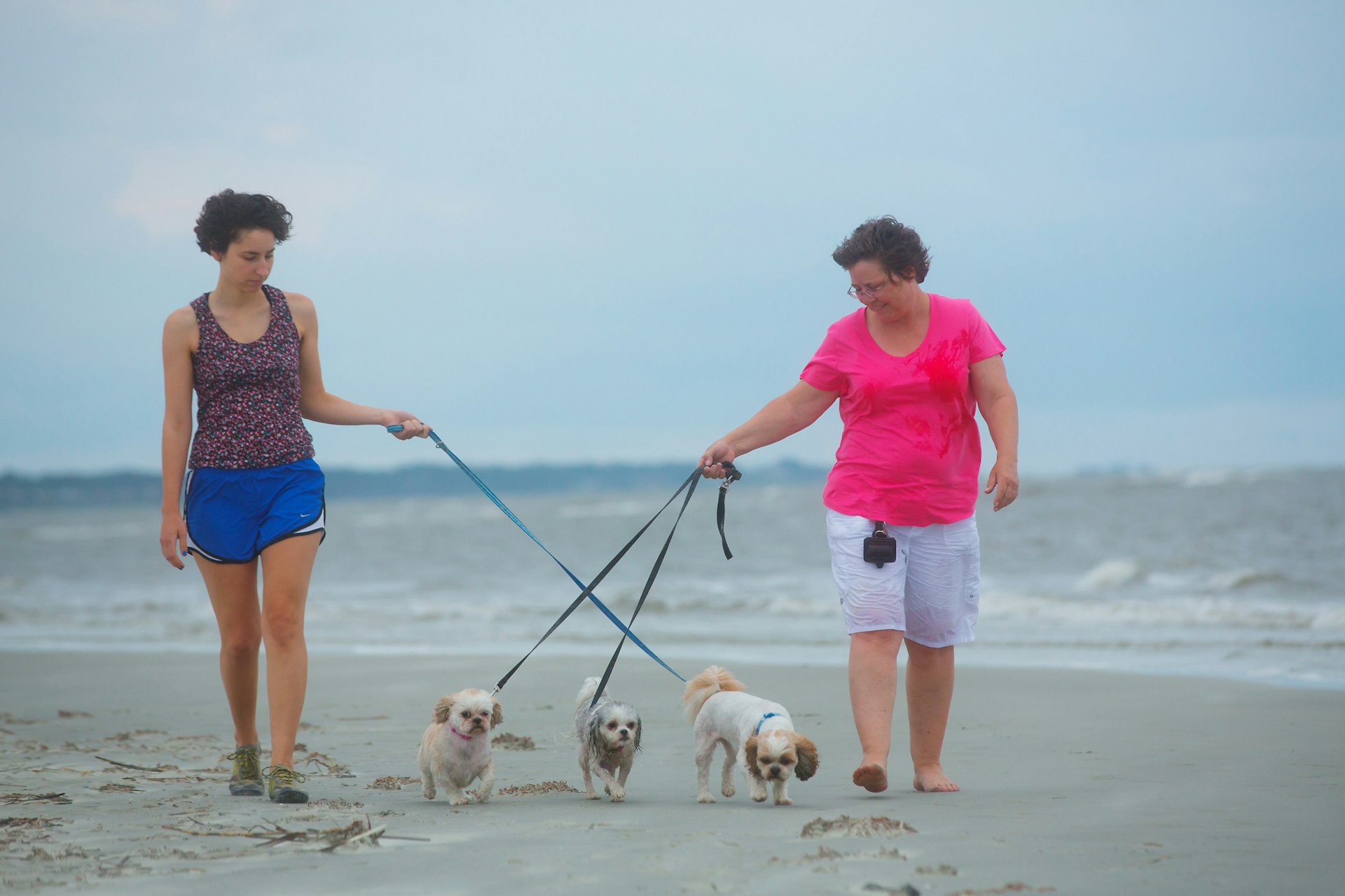 Two women walking dogs on the beach at St Simons Island, Georgia 