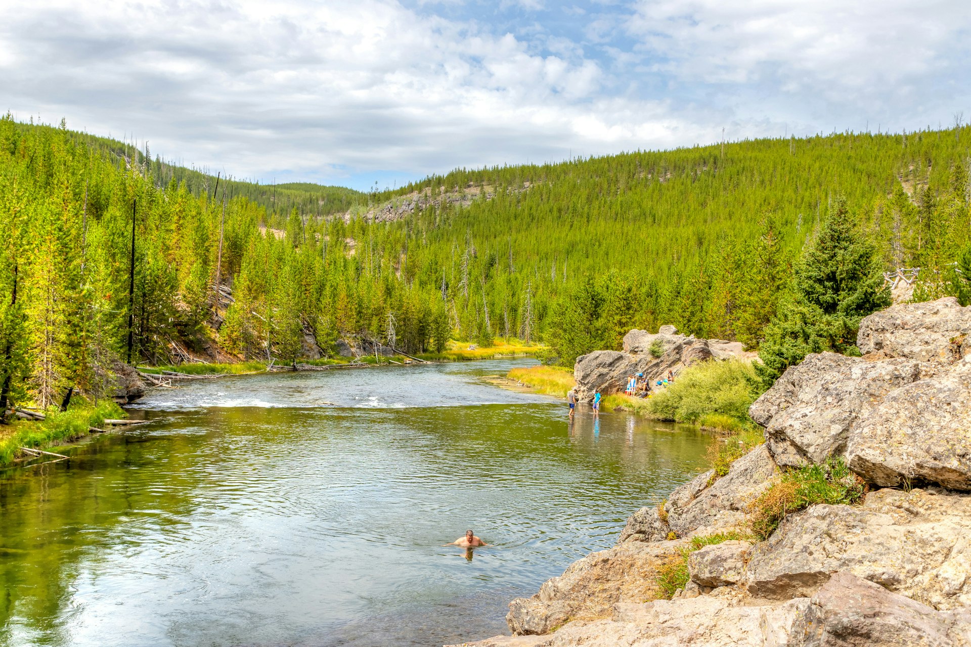 A solo swimmer in Firehole River, surrounded by dense forest