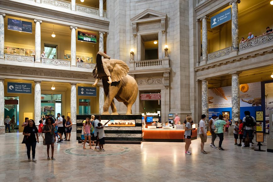 21 of the best free things to do in Washington, DC – Lonely Planet ...