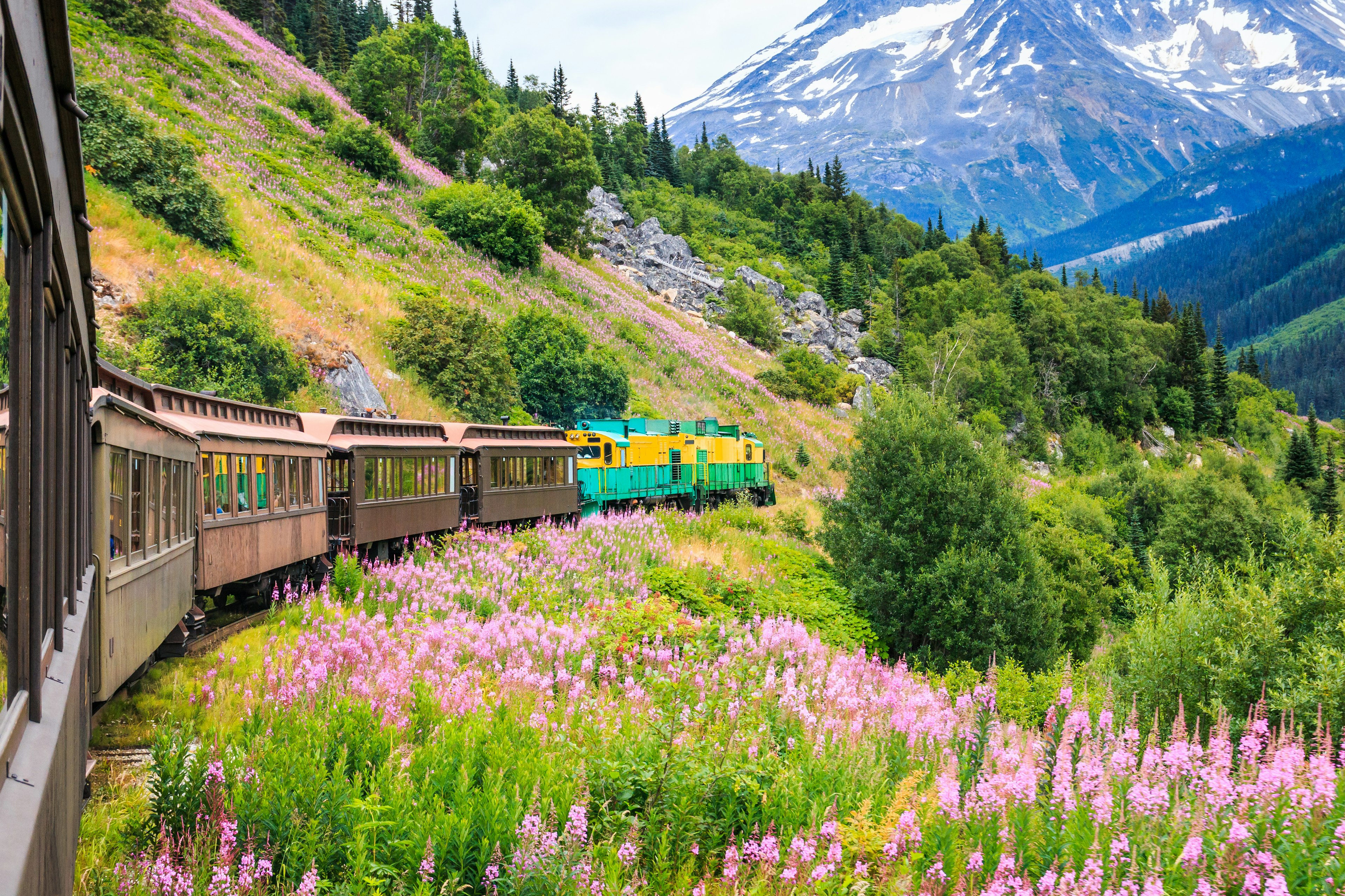 The scenic White Pass & Yukon Route Railroad passes wildflowers near Skagway, Alaska