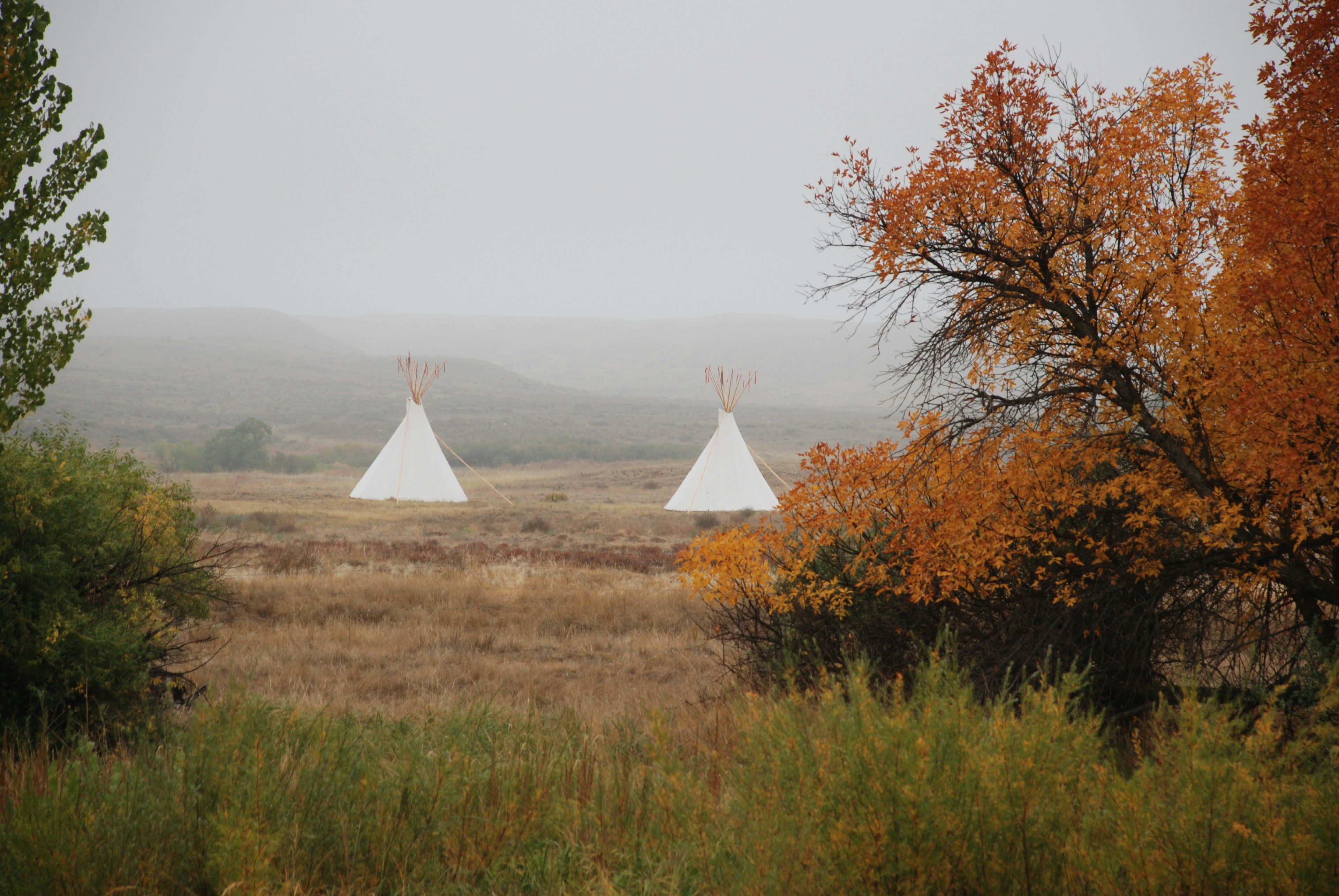 Tipis across the Laramie River at Fort Laramie National Historic Site with beautiful fall foliage in the foreground and fog in the background.