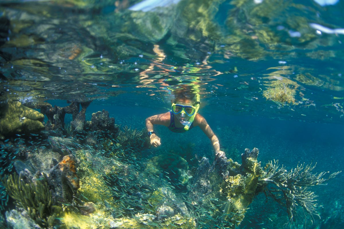 11 Best Places to Go Snorkeling in Key West