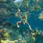 A7D5B1 A YOUNG SNORKELER WATCHES A SCHOOL OF GLASS MINNOWS NEAR CAPTAIN TOM S WRECK KEY LARGO FLORIDA