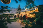 Salzburg Christmas Market seen trough a Christmas tree branches; Shutterstock ID 1220960995; your: Brian Healy; gl: 65050; netsuite: Lonely Planet Online Editorial; full: Things to know before Salzburg