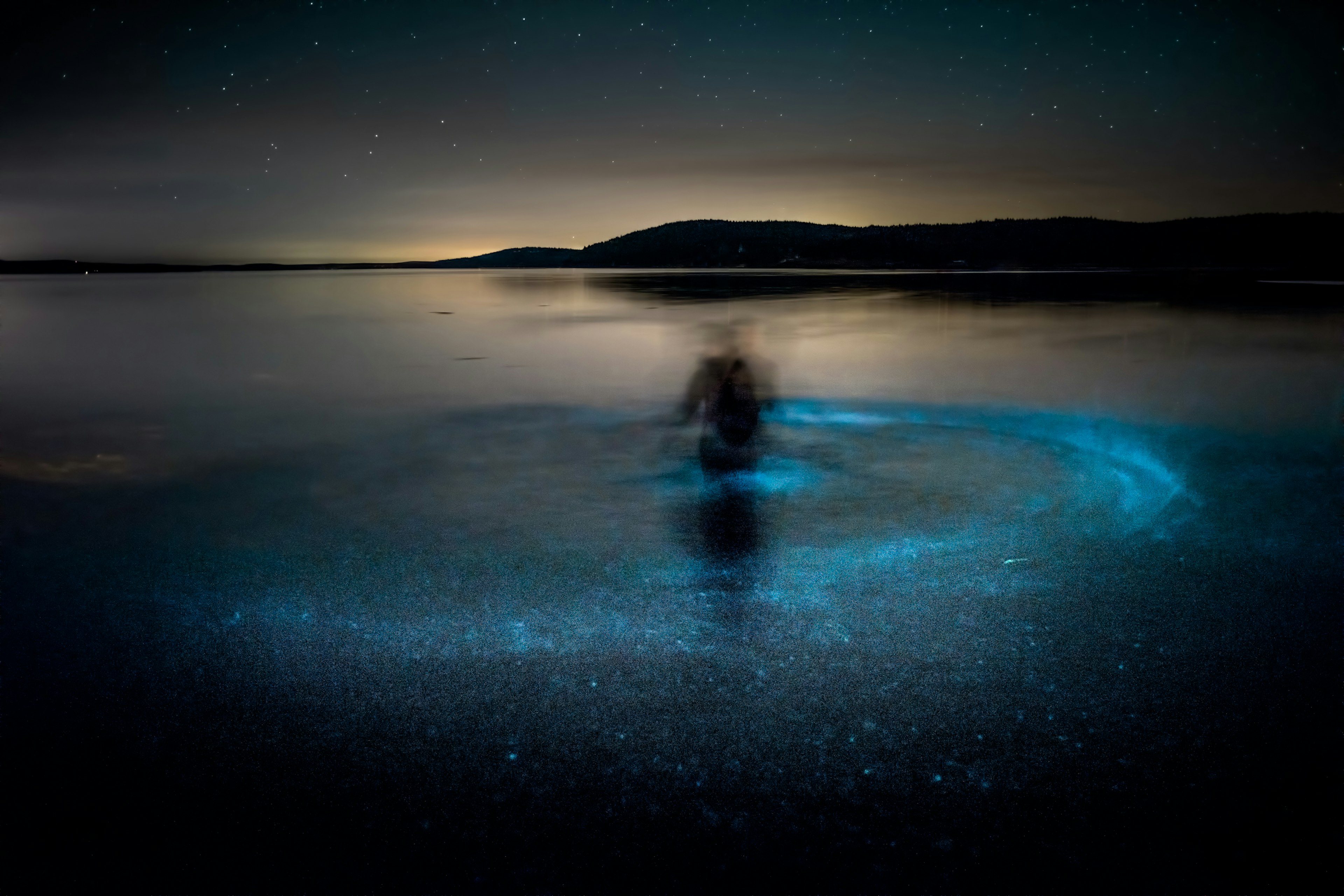 A blurred figure moves in the sea with swirling blue bioluminescence in the water around them.