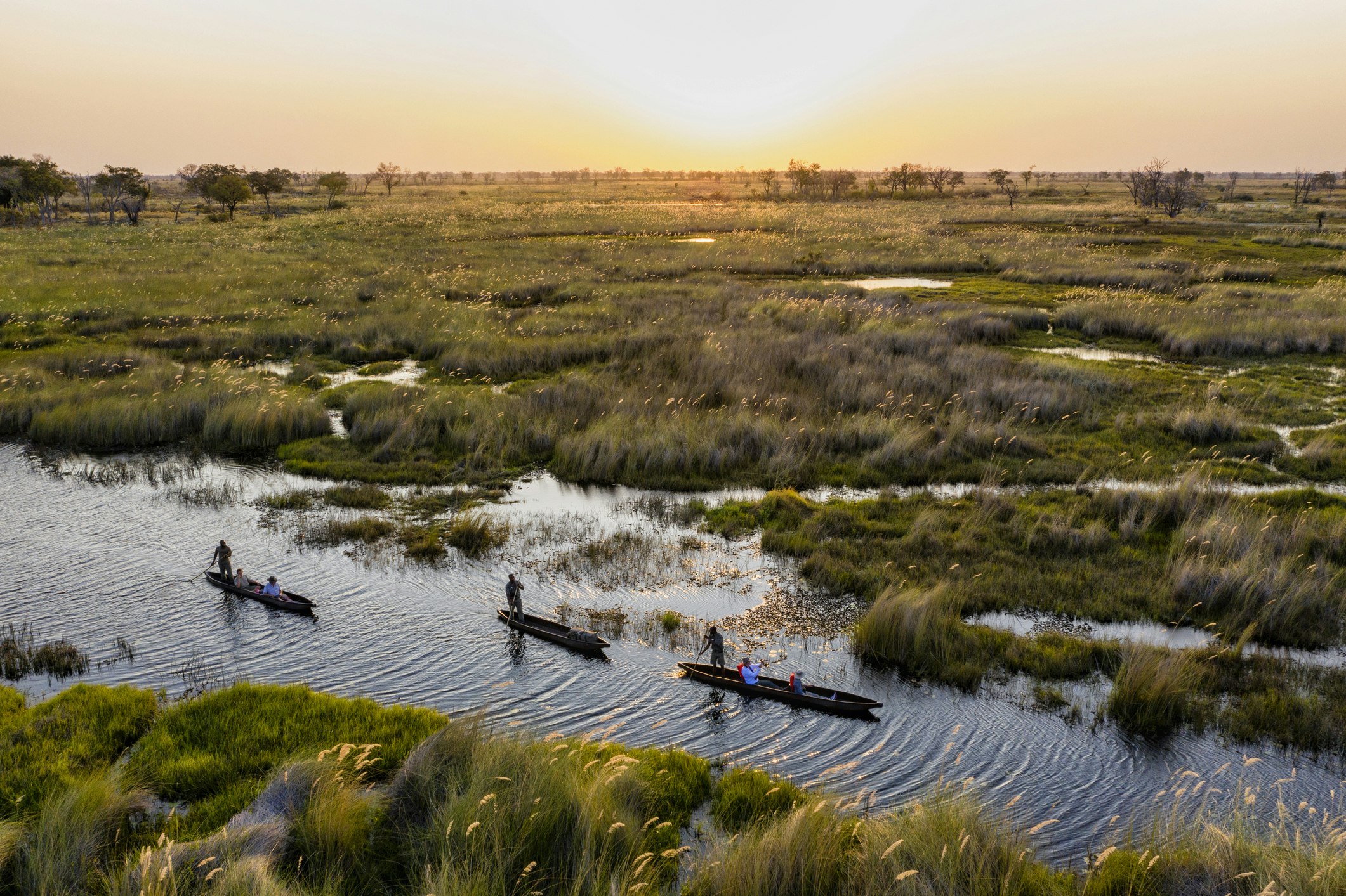 Tourists heading out on a mokoro (wooden canoe) safari along the waterways of the Okavango Delta