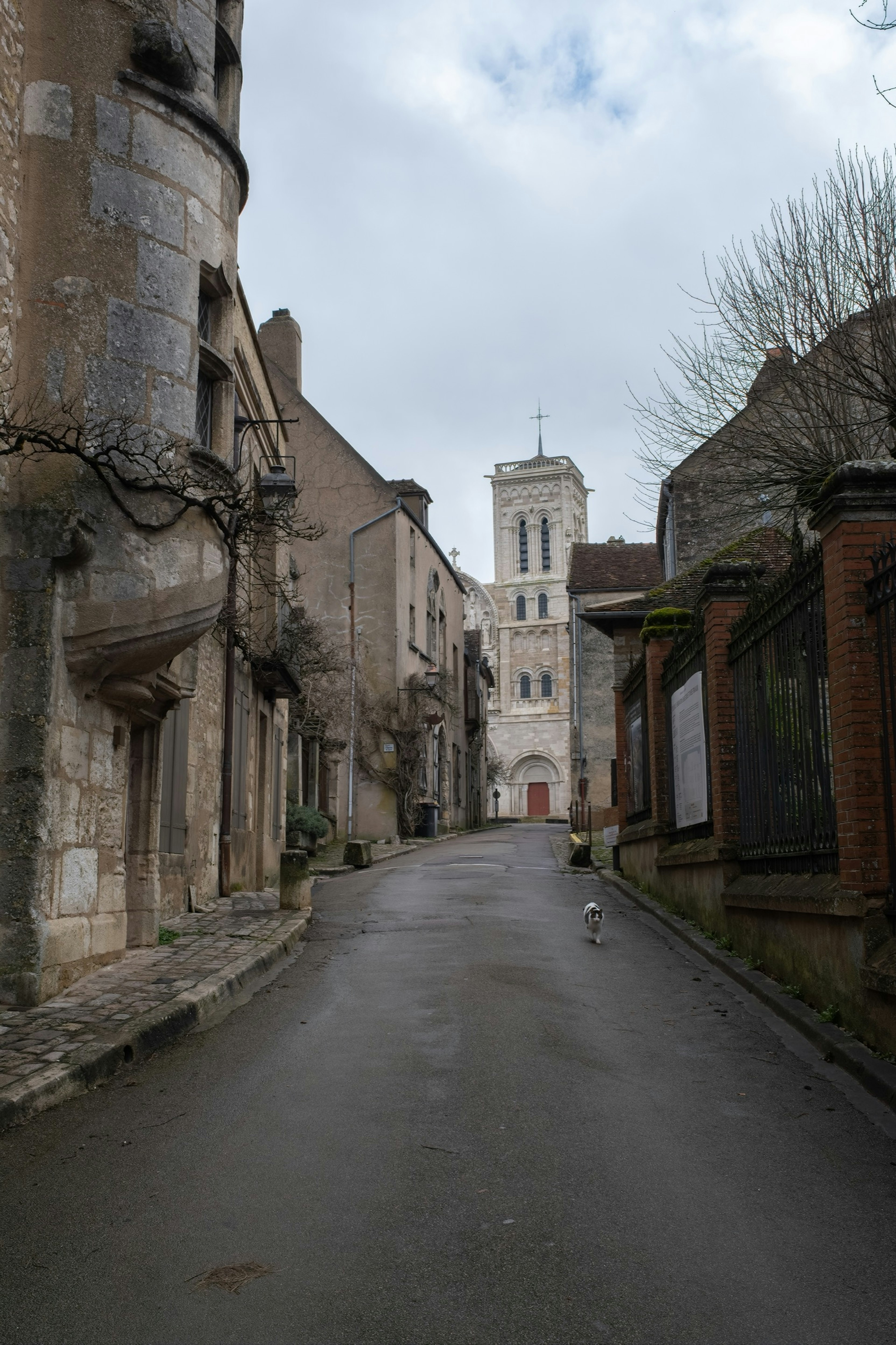 Burgundy_History_Vezelay.jpg