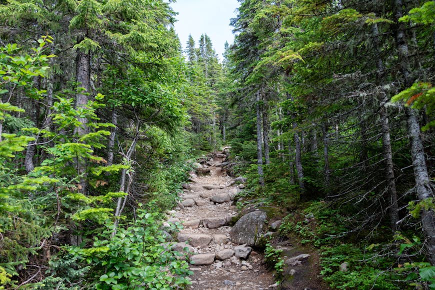 Un chemin à travers le Parc National des Grands-Jardins dans la région de Charlevoix au Québec, Canada