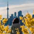 Girl looking at Toronto skyline.View from Toronto islands. Framed with trees.; Shutterstock ID 672088498; your: Brian Healy; gl: 65050 ; netsuite: Lonely Planet Online Editorial; full: Best time to visit Toronto
