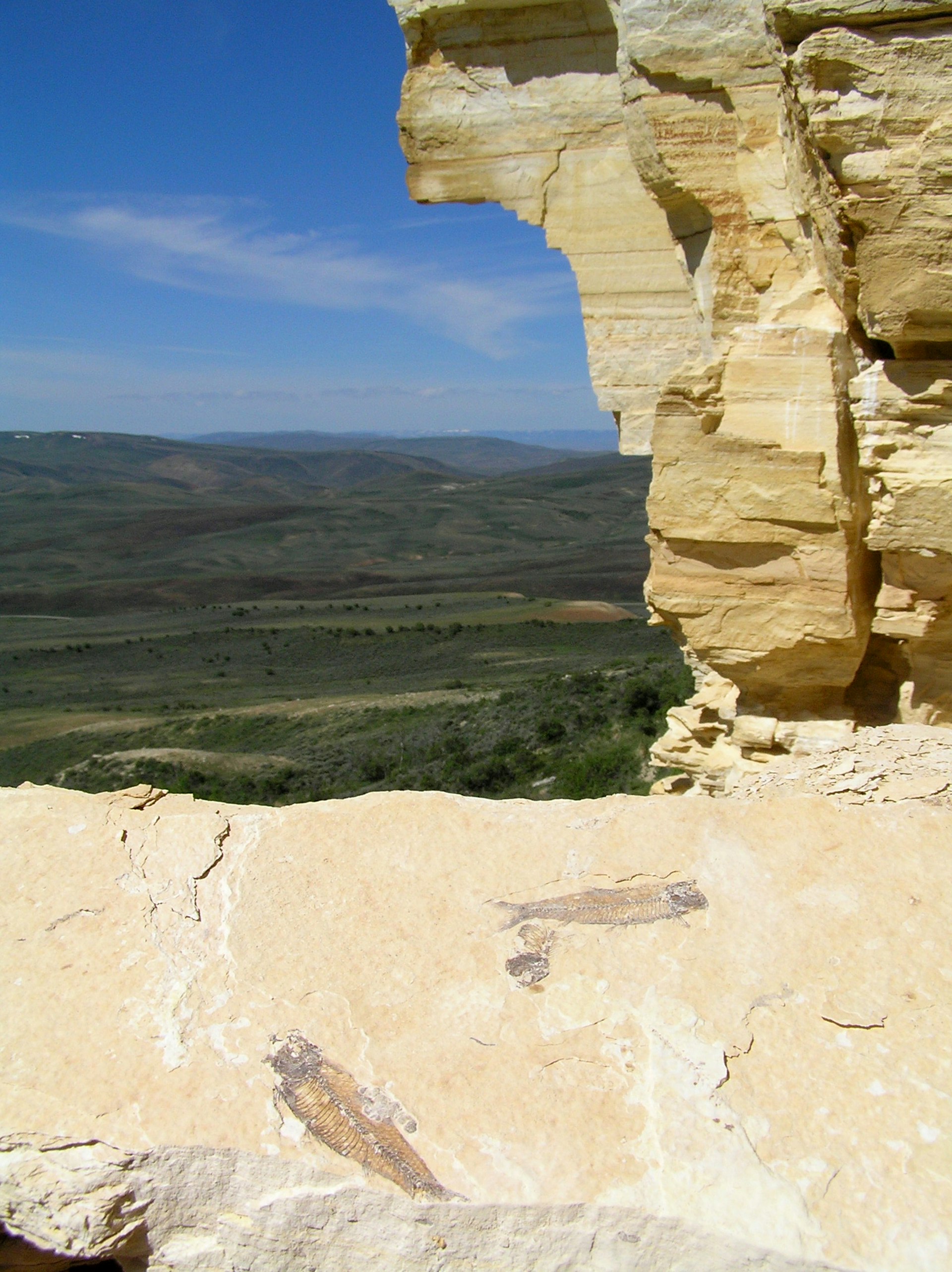 Fossils in a stone overlooking a valley in Wyoming