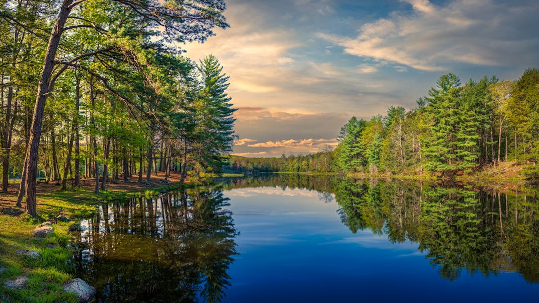 New Jersey's 2022 summer bonus free state parks Lonely