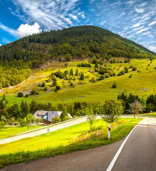 Road in the Black Forest