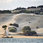 Kenya, Coast, sailing dhow off Shela Beach on Lamu Island.