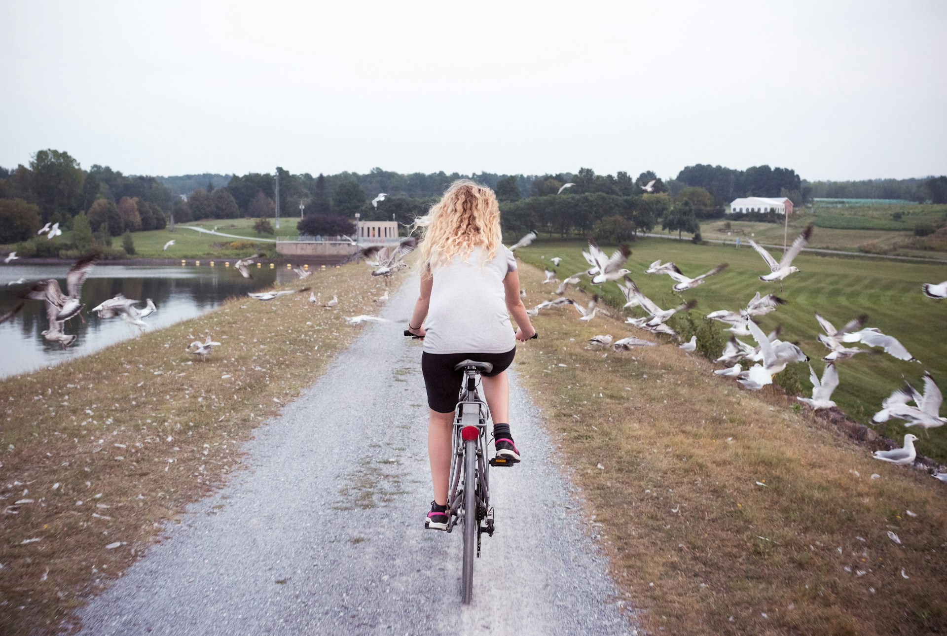 Woman riding a bicycle with flying birds outside Quebec City, Canada