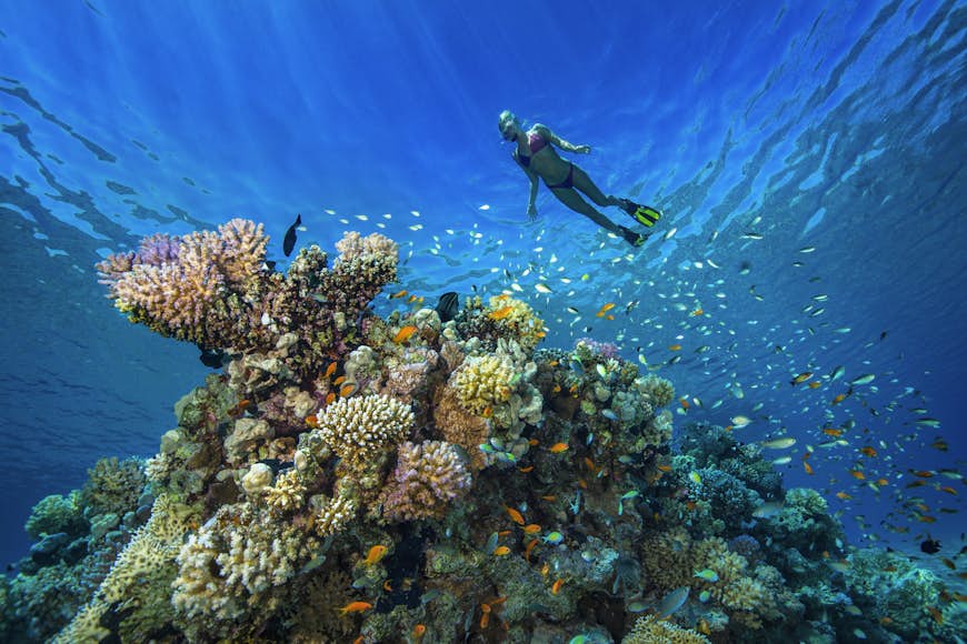 A female snorkeler swims above a coral reef near Hurghada