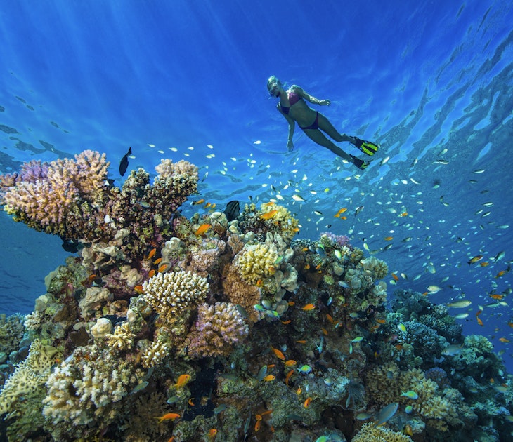 A female snorkeler swims above a coral reef near Hurghada.