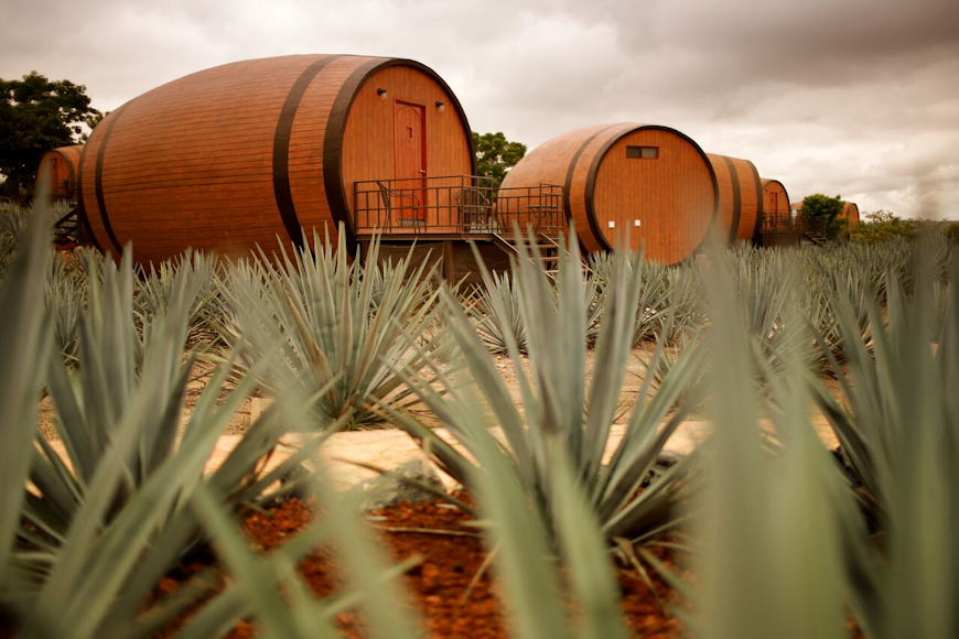 The barrel rooms of the Matices Hotel de Barricas in Mexico
