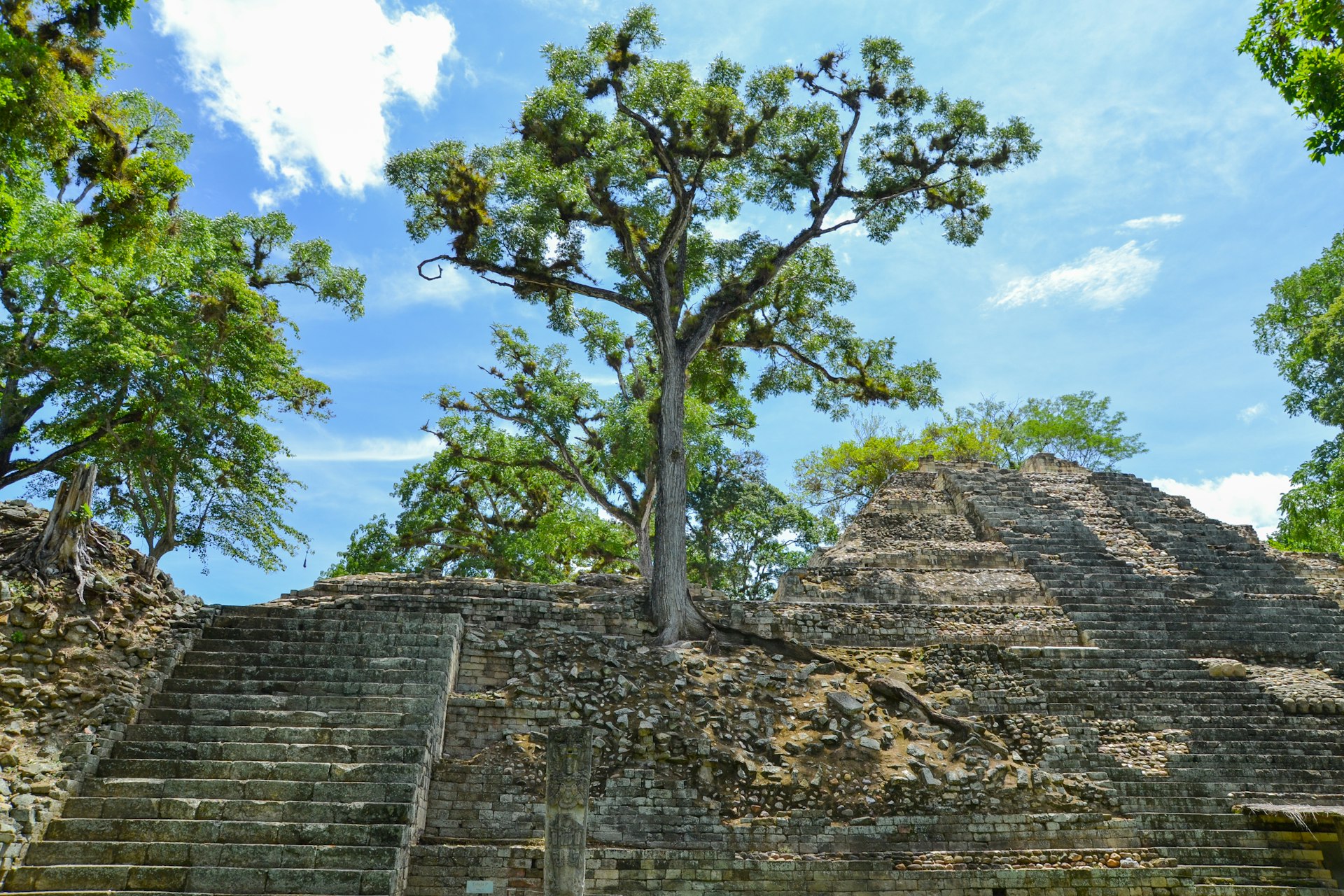 Árvores crescendo em uma pirâmide em ruínas em Copán, Honduras