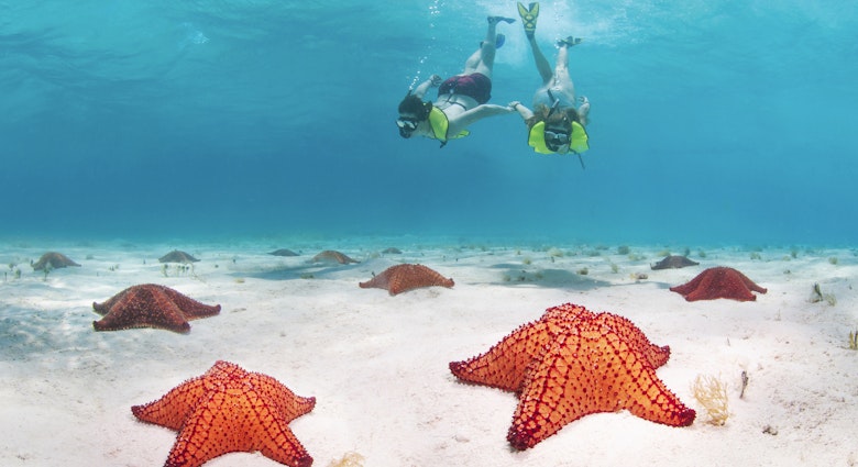 Young couple underwater snorkelling with starfish all over the seabed in Roatan, Honduras