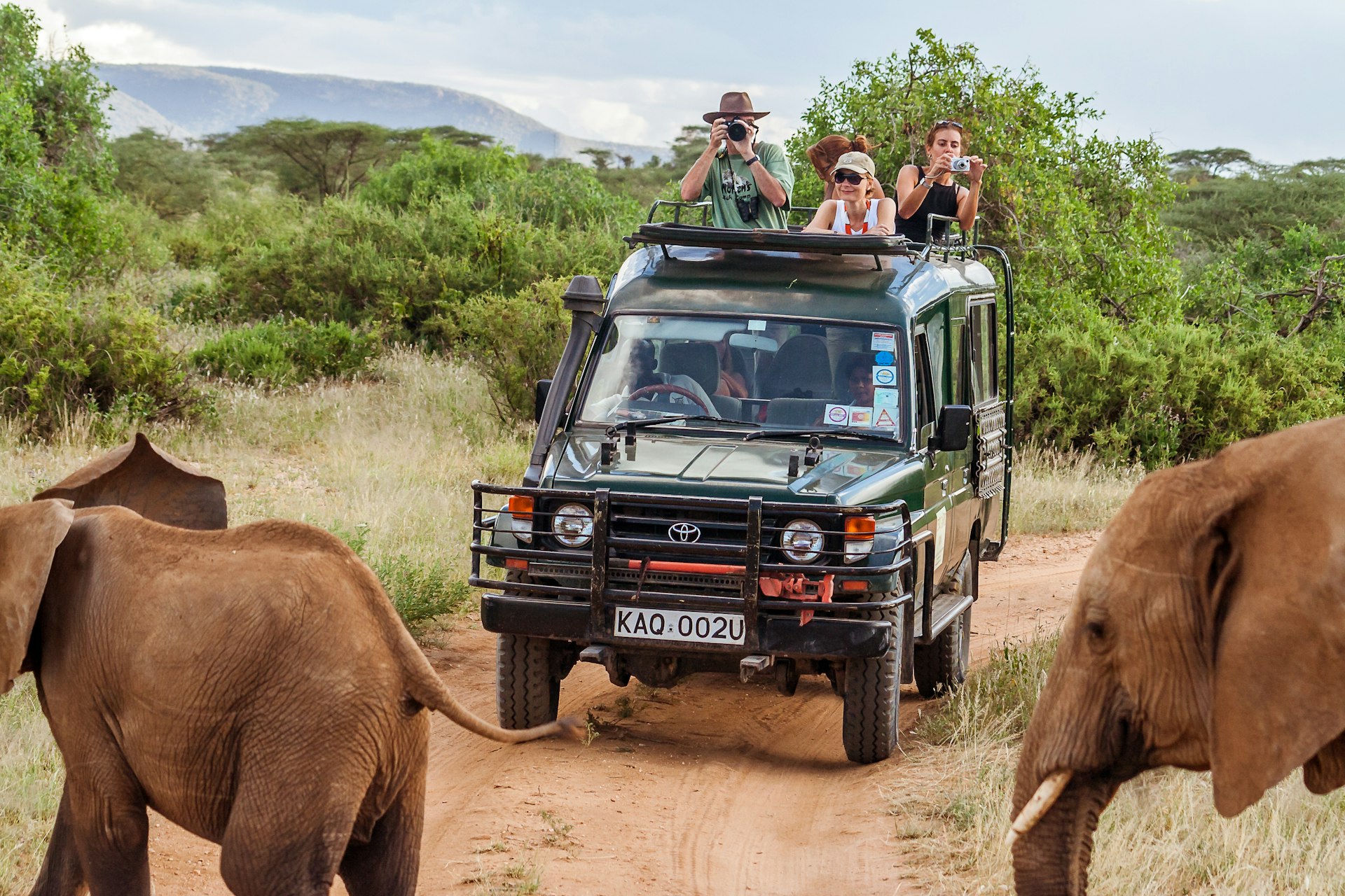 Tourists in a safari jeep encountering elephants in the Masai Mara