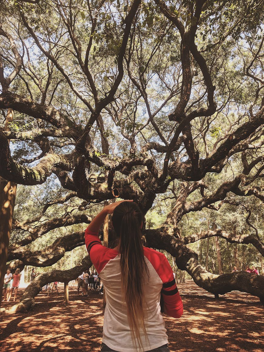 A woman looks up at a giant tree on Kiawah Island in South Carolina.