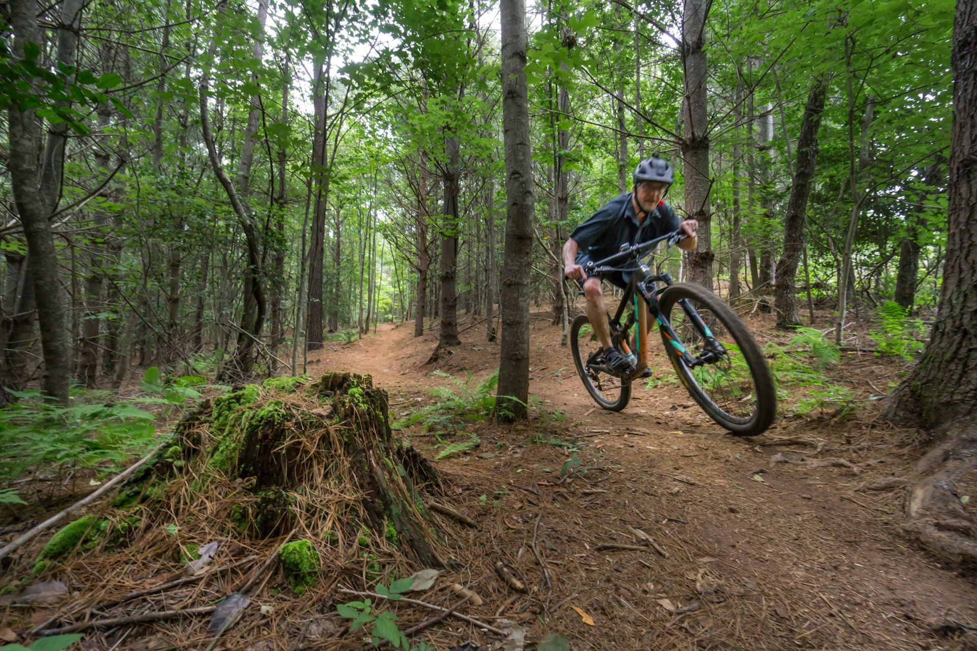 Mountain biker flies through the lush forest greenery on the trail in Lake James park, North Carolina.