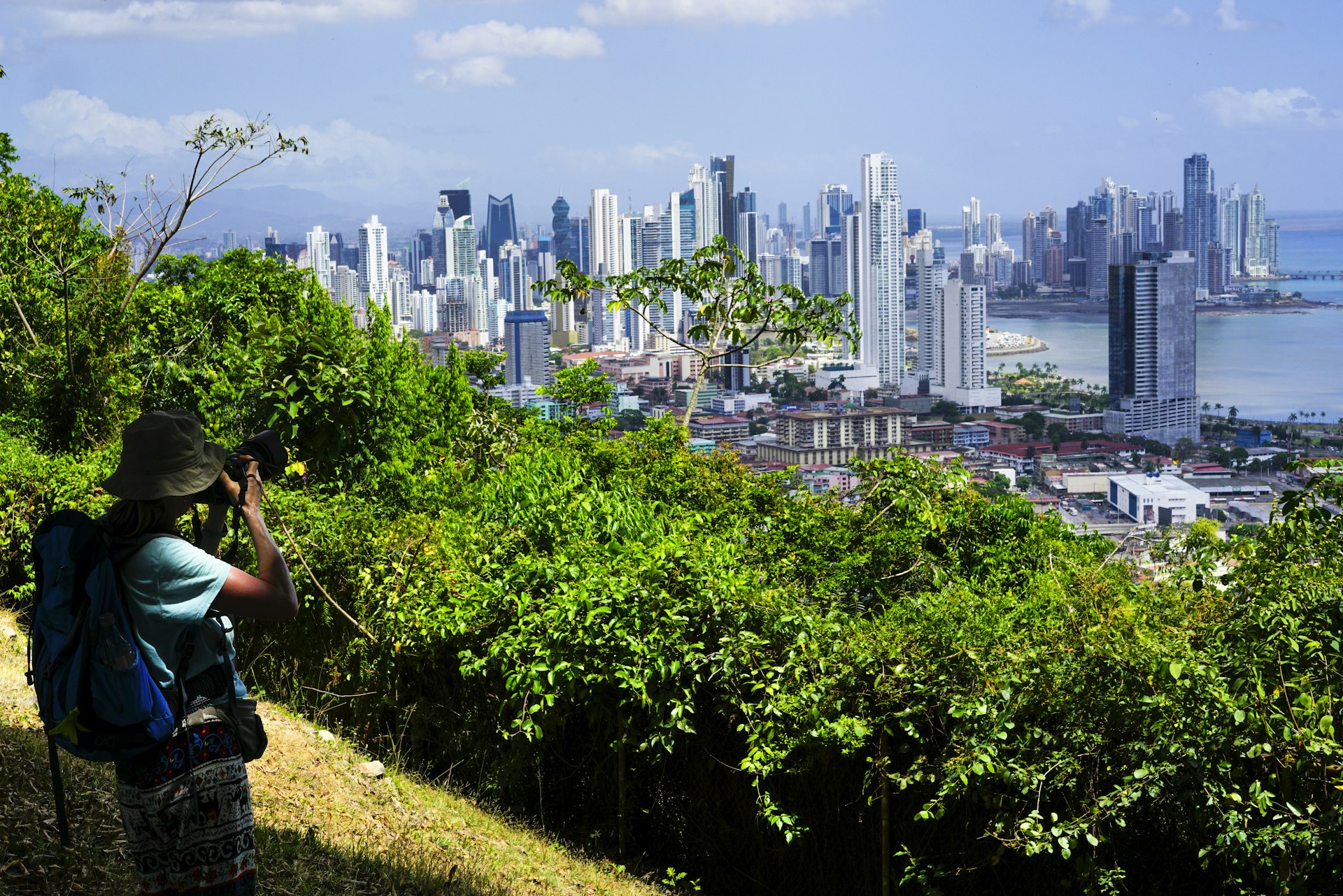 A woman takes a photo of the city skyline viewed from within dense foliage