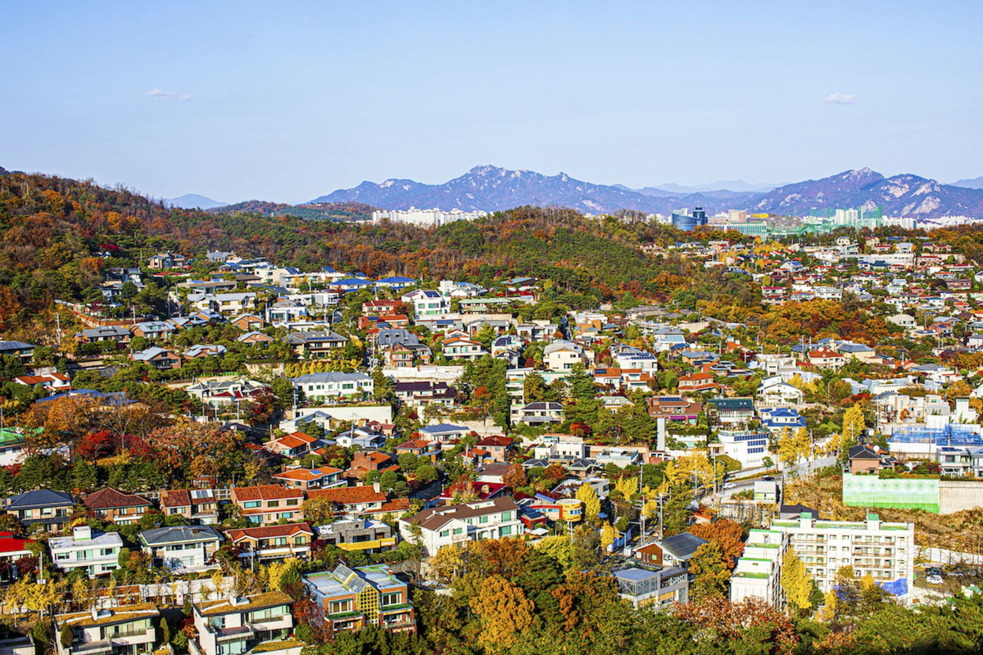 An aerial view of buildings and trees in fall in Seongbuk-dong, Seongbuk-gu, Seoul, South Korea