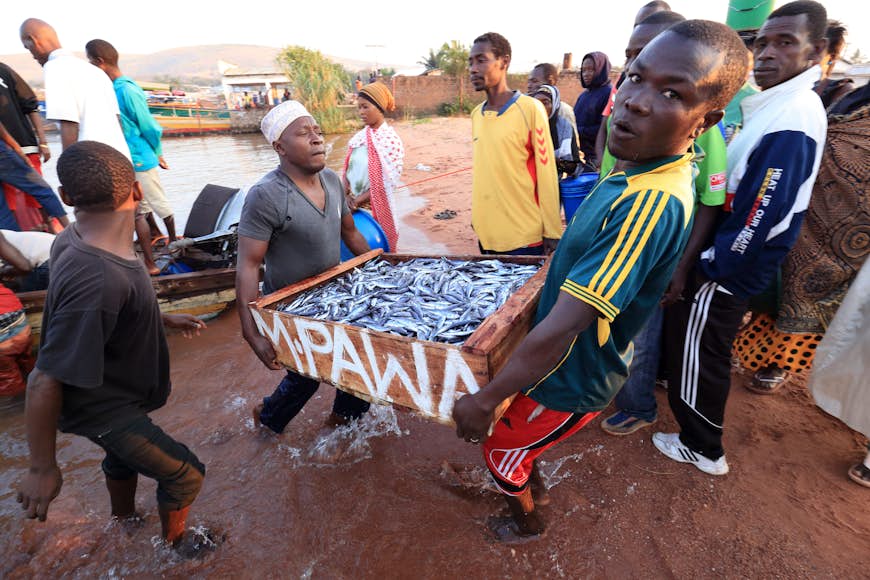 Рыбак перевозит и торгует рыбой на берегу озера Танганьика в Кигоме, Танзания, Восточная Африка.