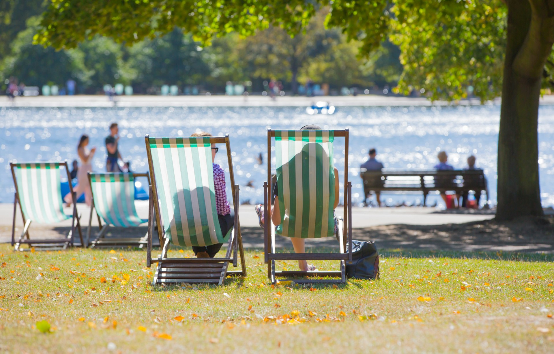 People on deck chairs in parkland near an artificial lake