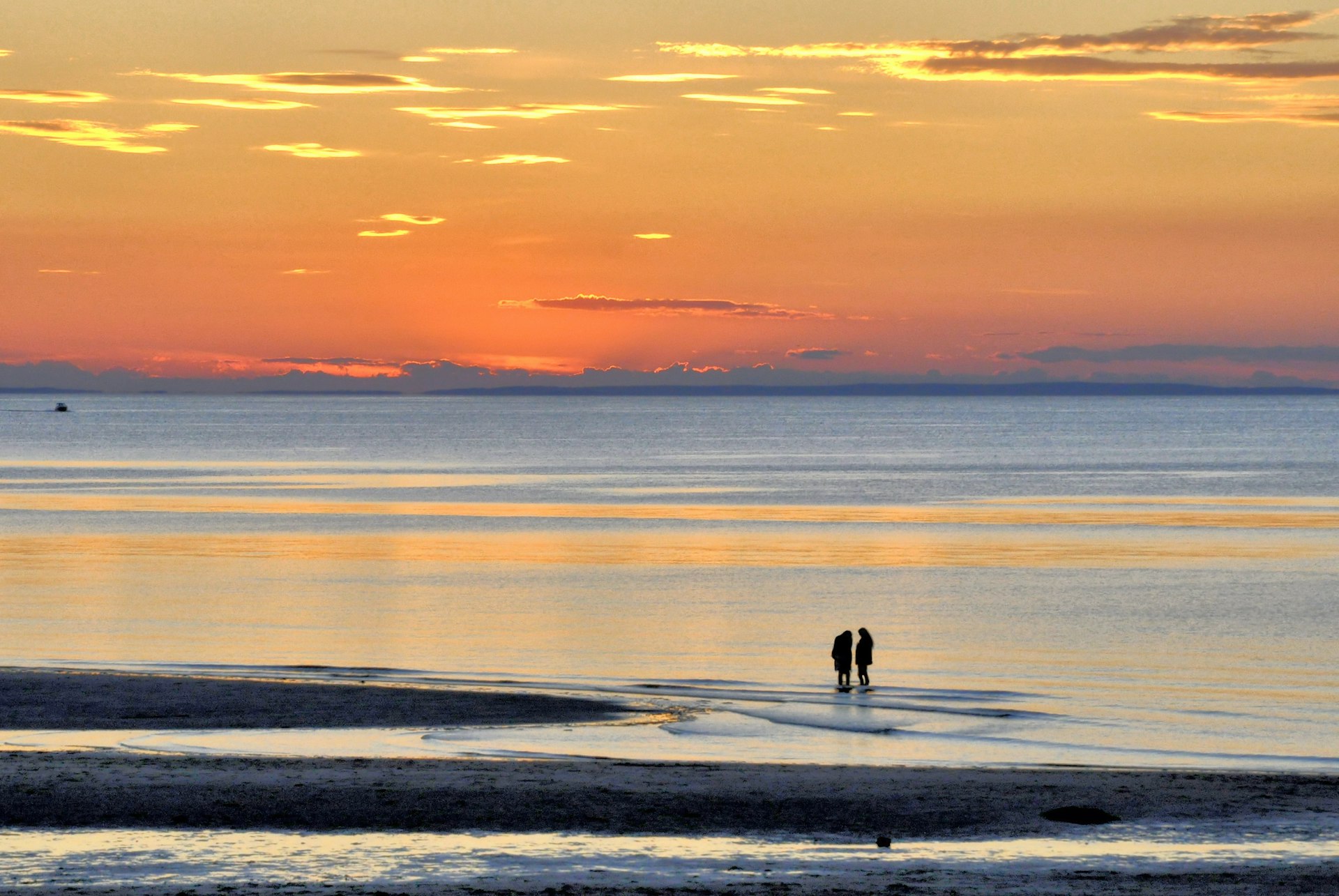 Two women are silhouetted by the setting sun as they paddle in the water of Cape Cod Bay at low tide