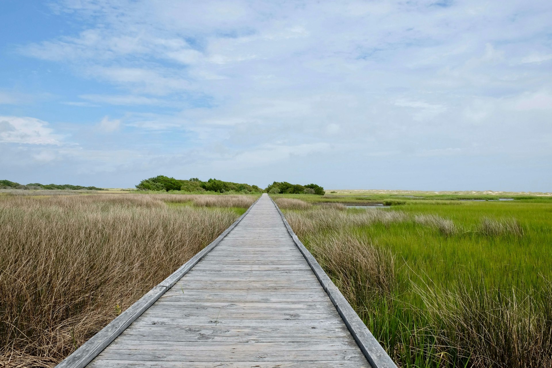 A long boardwalk through marshland disappearing into the horizon