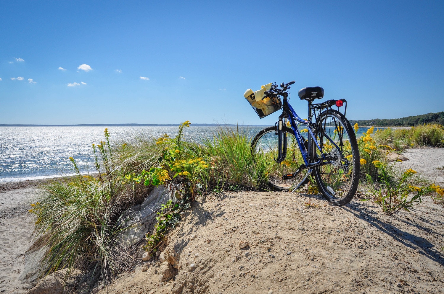A bicycle parked in dunes by the beach, Cape Cod, Massachusetts, USA