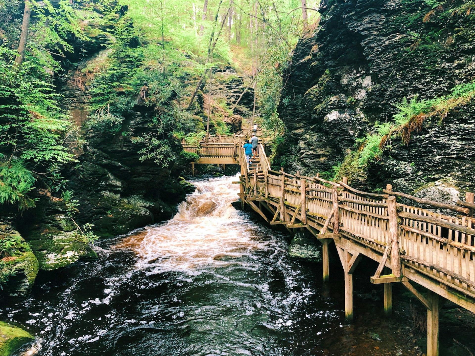 A wooden boardwalk and stairs that lead a path through Bushkill Falls canyon and waterfalls
