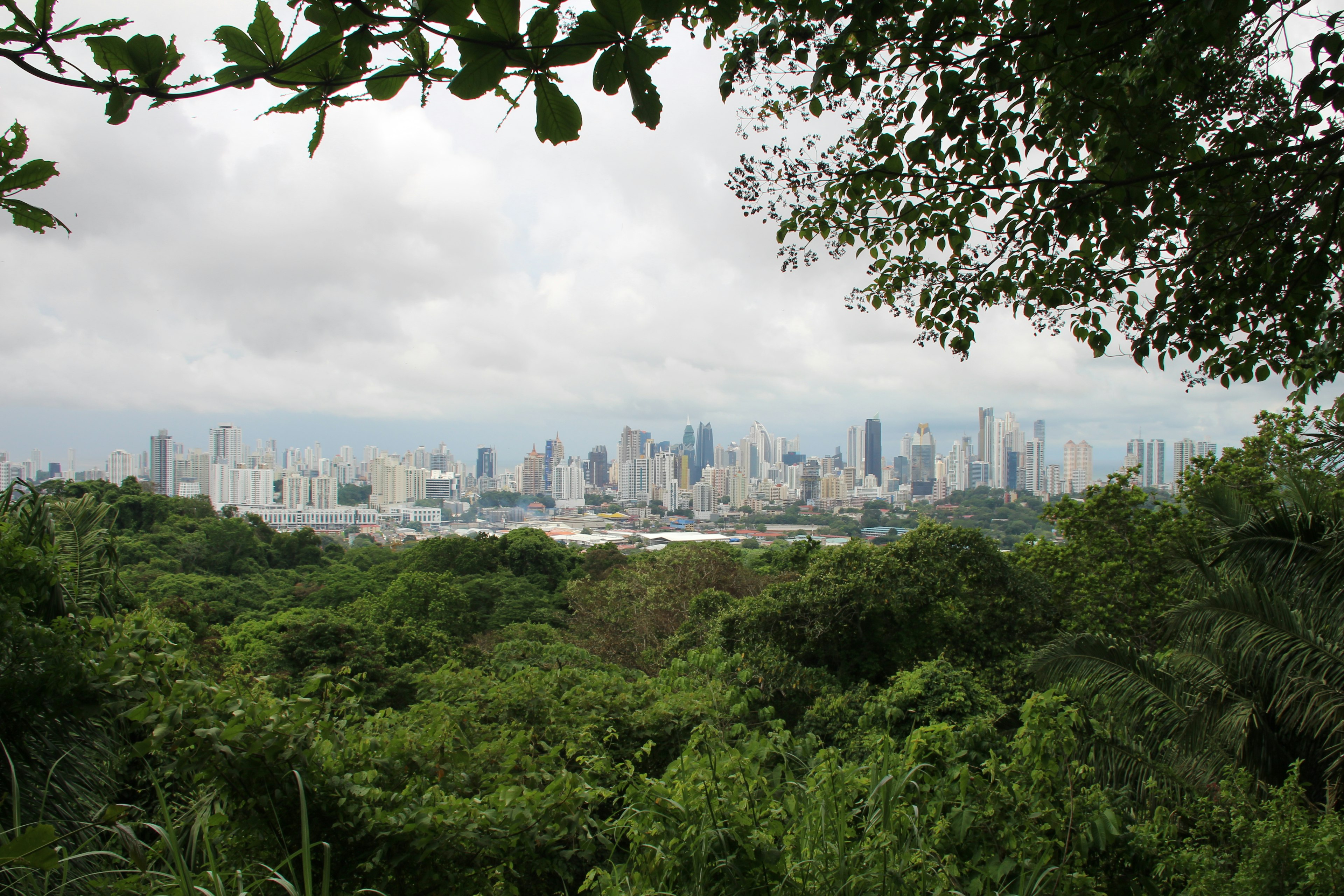 Panama as seen from Metropolitan Natural Park