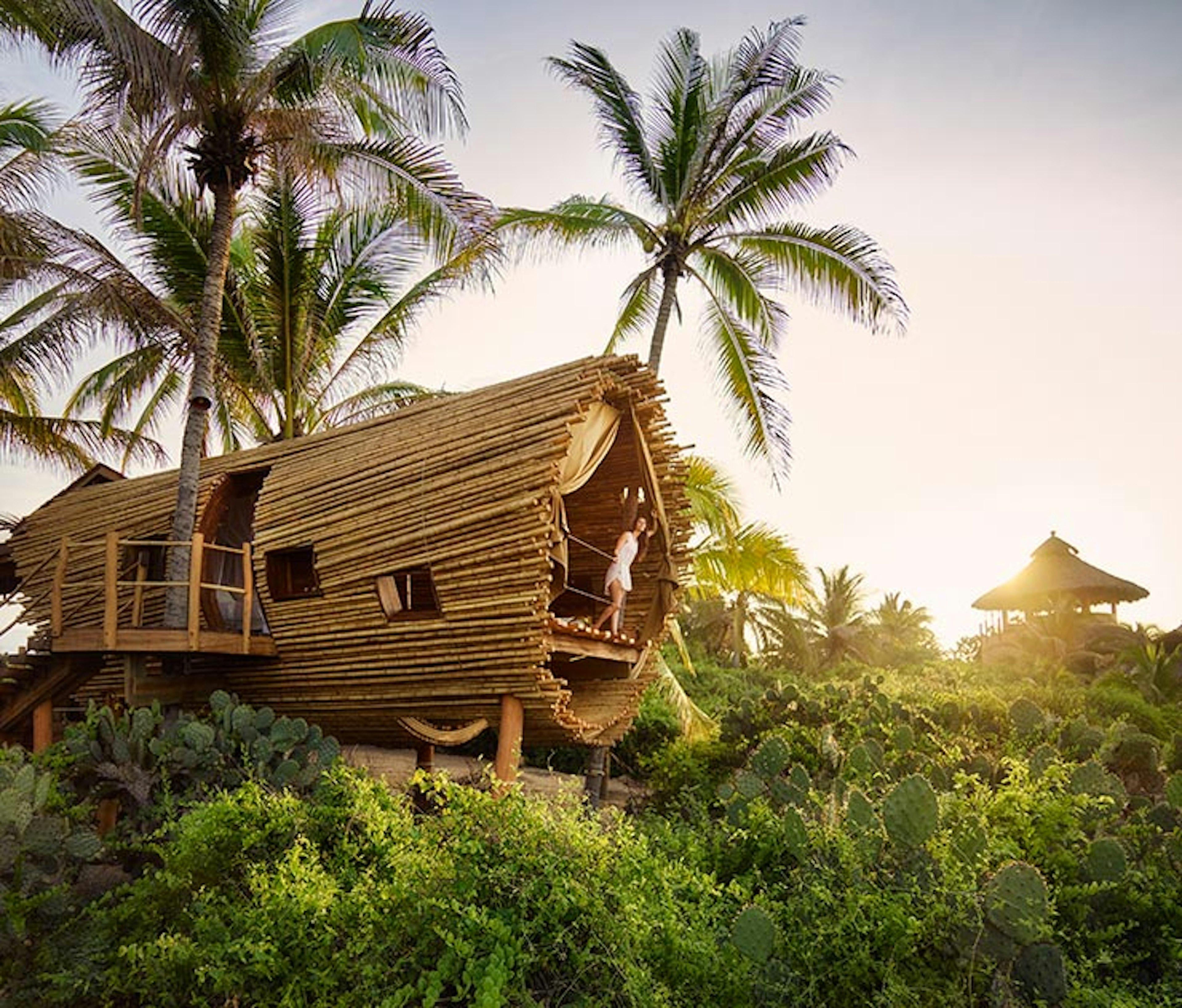 Cabins in the forest at Playa Viva in Mexico