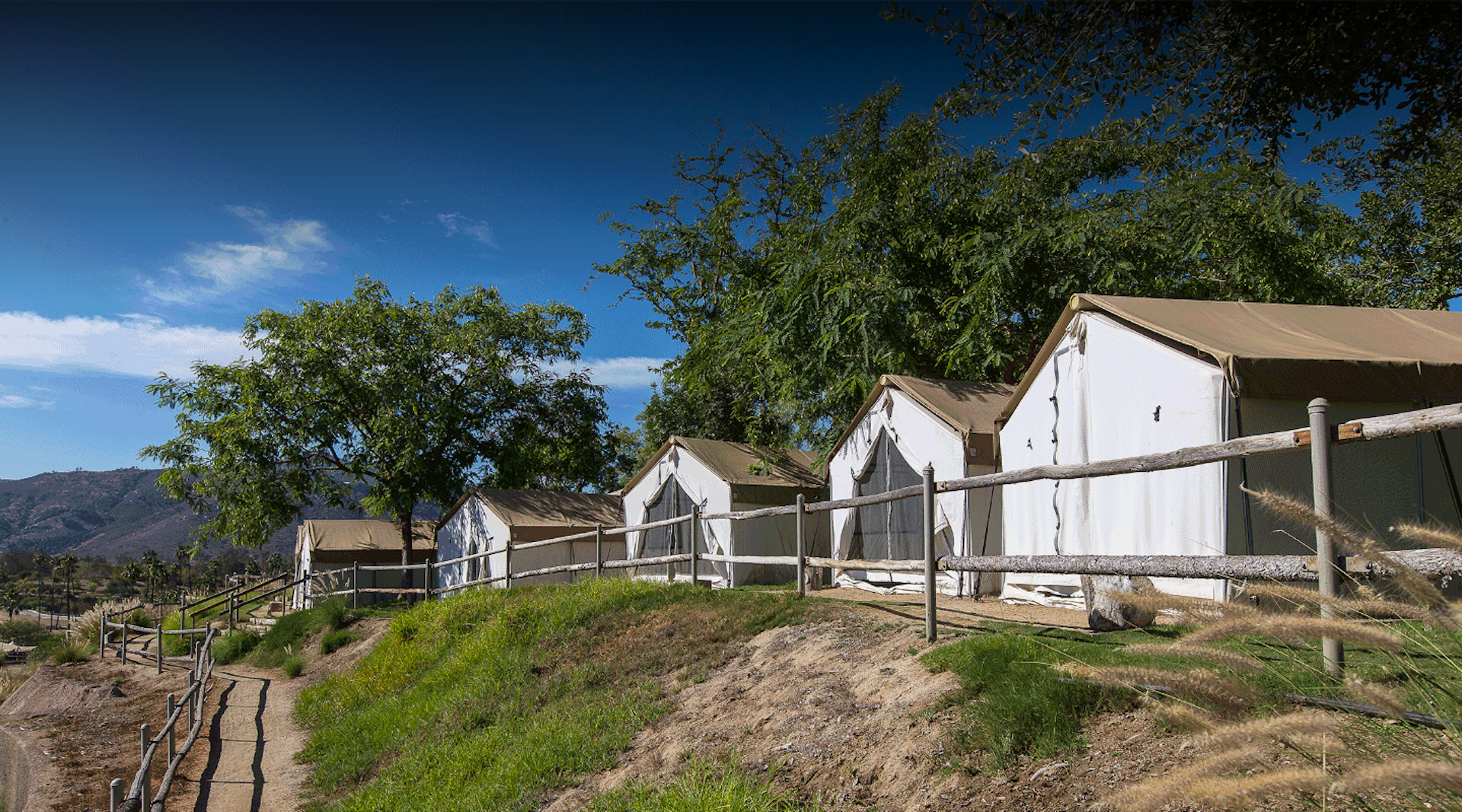 A view of the white tents where guests lodge during the "roar and snore" experience at the San Diego Zoo, San Diego, California, USA